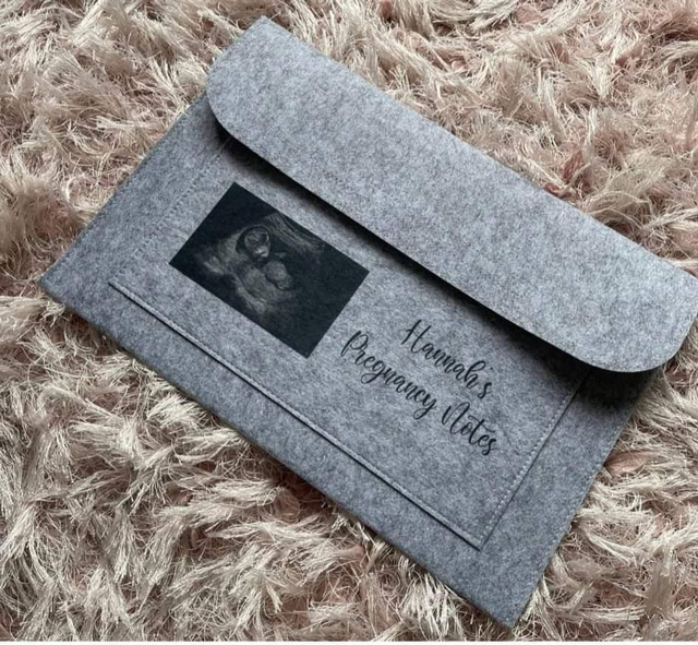 Pregnancy Notes With Scan 