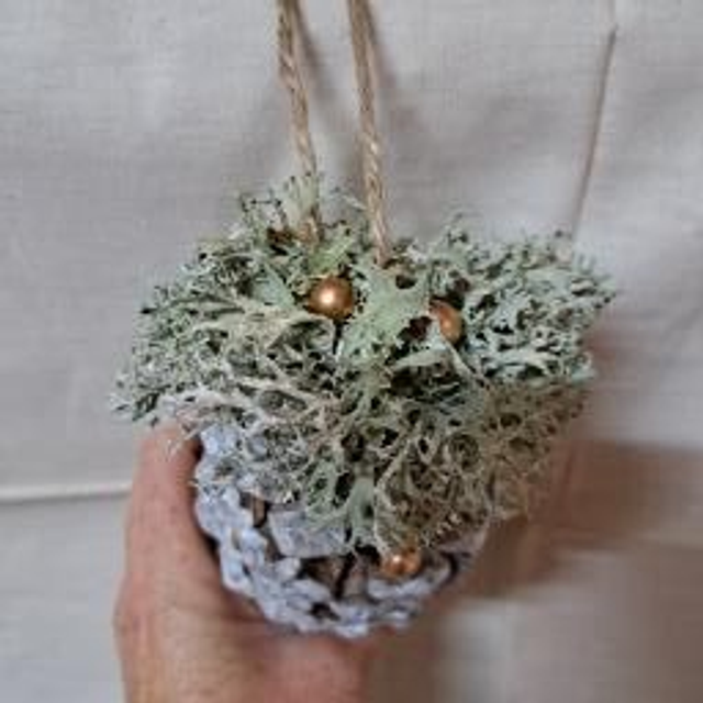 Rêve d'hiver en pomme de pin