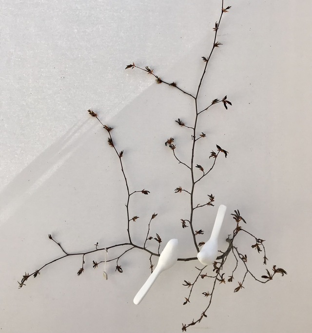 Nature " Élégance"