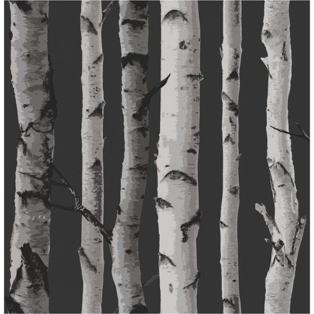 Birch Tree Black/Silver - Fine Décor - FD31053 