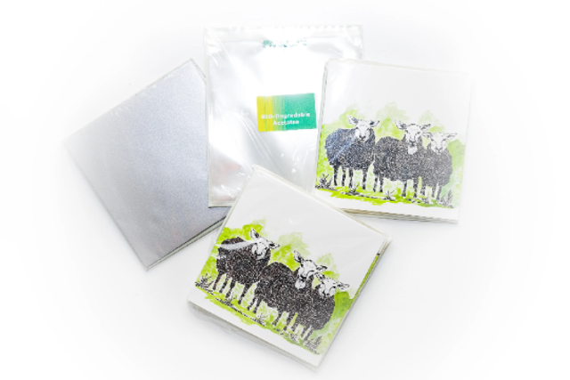 Sheep Ink and watercolor Greeting Card