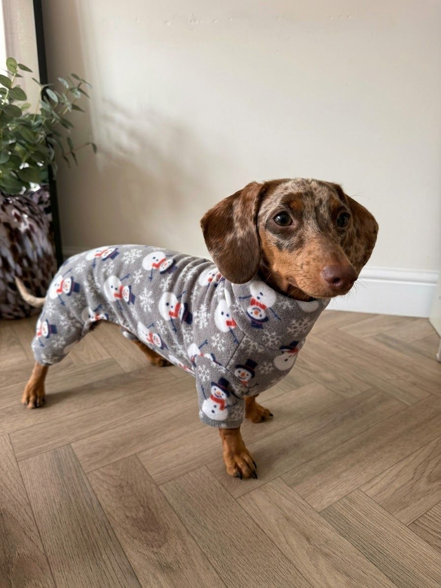 Dachshund Fit Onesie