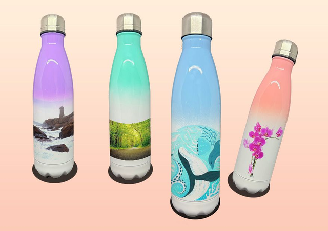 Bouteille isotherme 500ml Dégradé de couleur