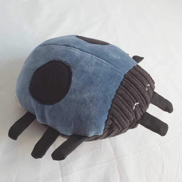 Mathieu la Coccinelle bleue