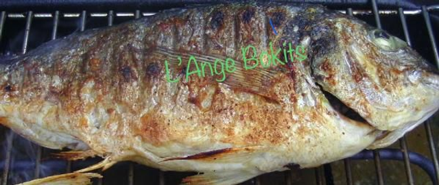 Dorade Grillée + Riz ou Frites