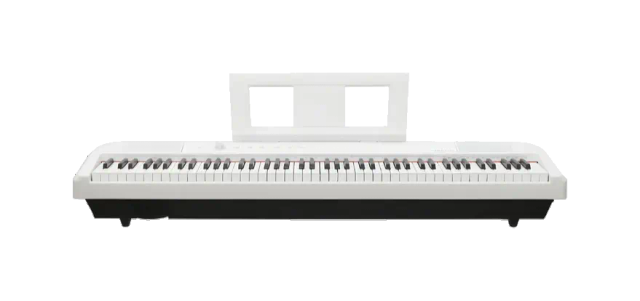 Echord DP1 White Pianoforte Digitale