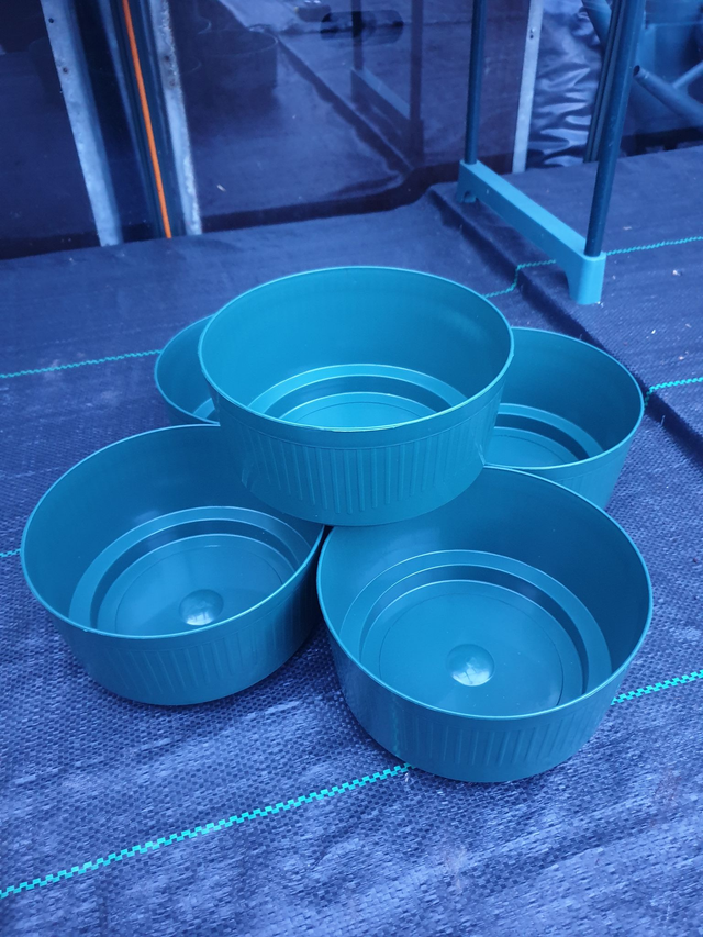 Round Plastic Indoor Bulb Bowl - Green