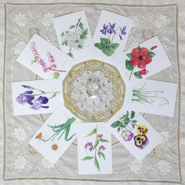 Set cartes postales 9 Fleurs Totem