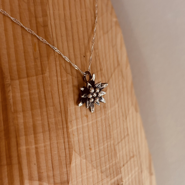 L’éternelle Alpine