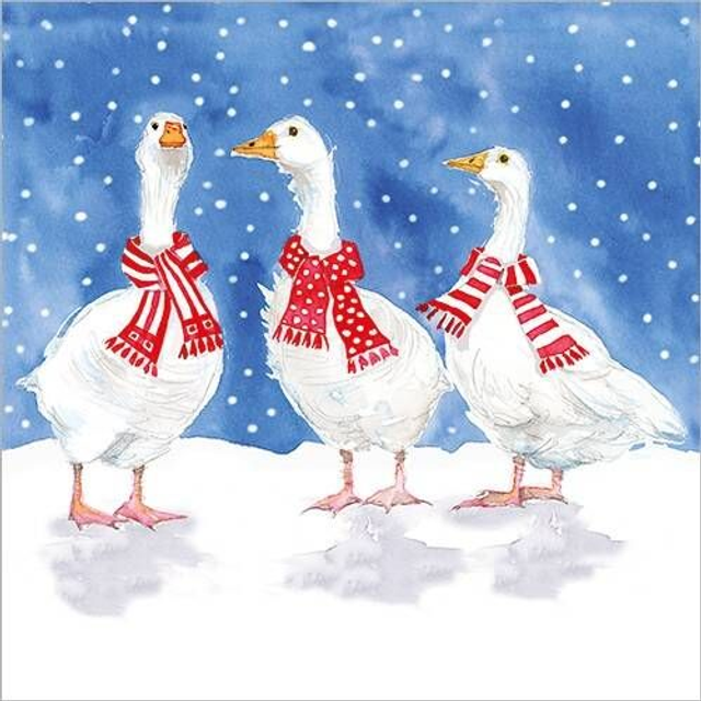 Charity Christmas Card Pack - 8 cards of the same design with envelopes
