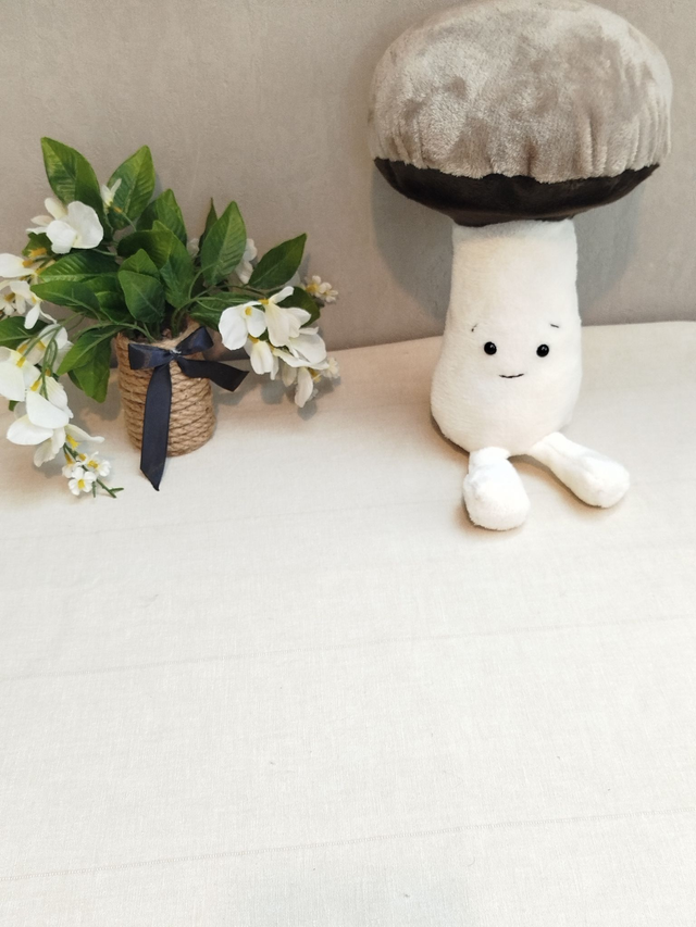 Coussin champignon cèpes