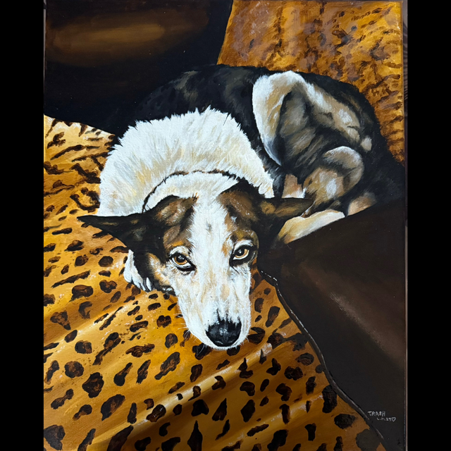 Border Collie Reclining Limited Edition Print 