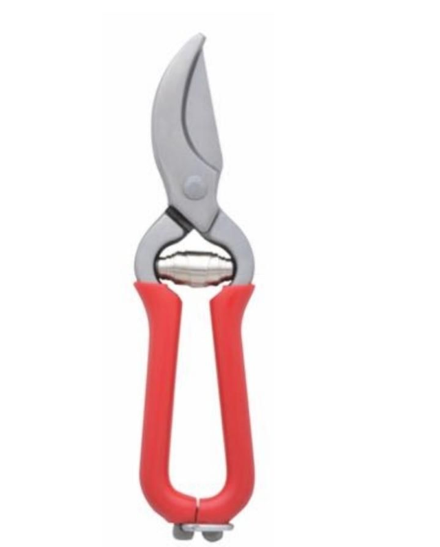 Pruner/ secateur