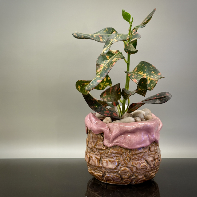 Cracks and silk pink crackpot