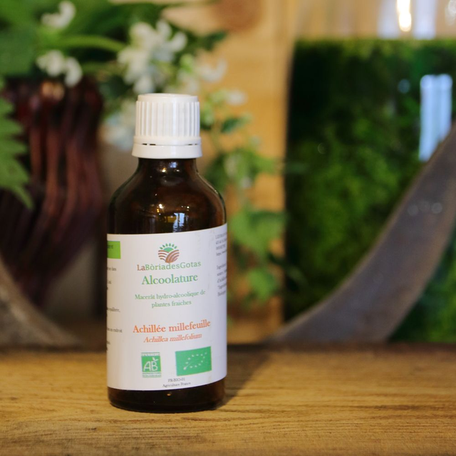 Alcoolature Achillée Millefeuille