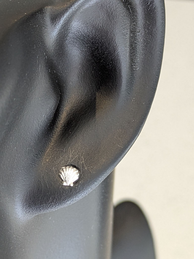 XSmall Scallop Shell Earrings
