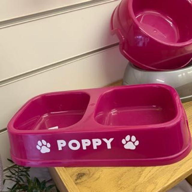 Double Bowl Dog Dish