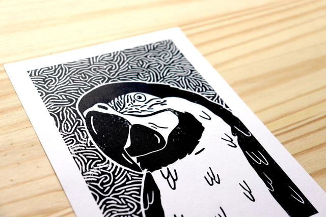 Linogravure A5 Perroquet Ara