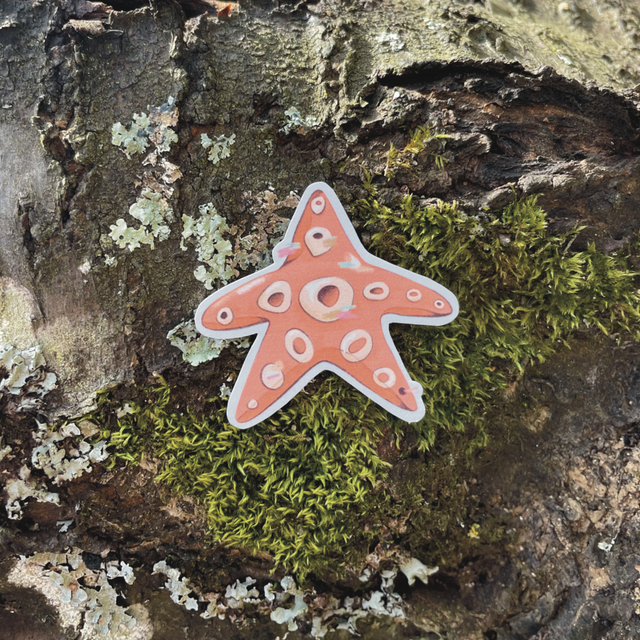 Sticker &quot;Etoile de mer&quot;