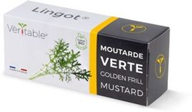 Véritable Lingot Golden Frills Mustard - Organic