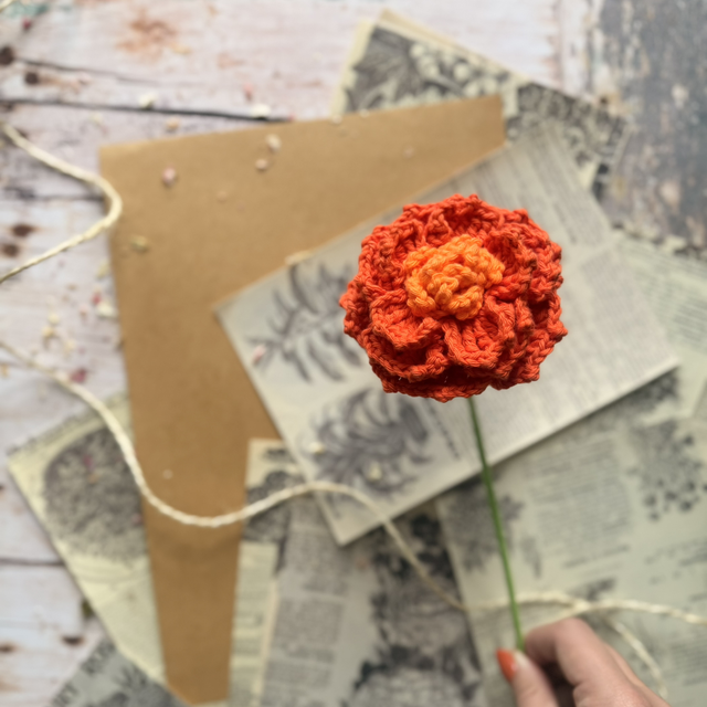 Œillet d’Inde (personnalisable pour créer votre bouquet)