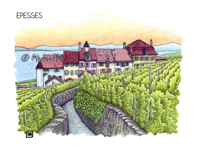 Epesses Lavaux Suisse Switzerland