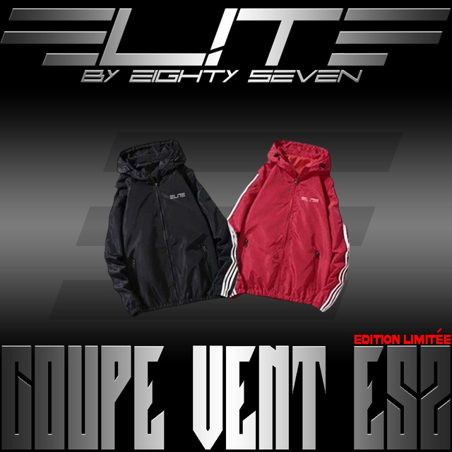 Coupe vent ES2 (éditon limitée)