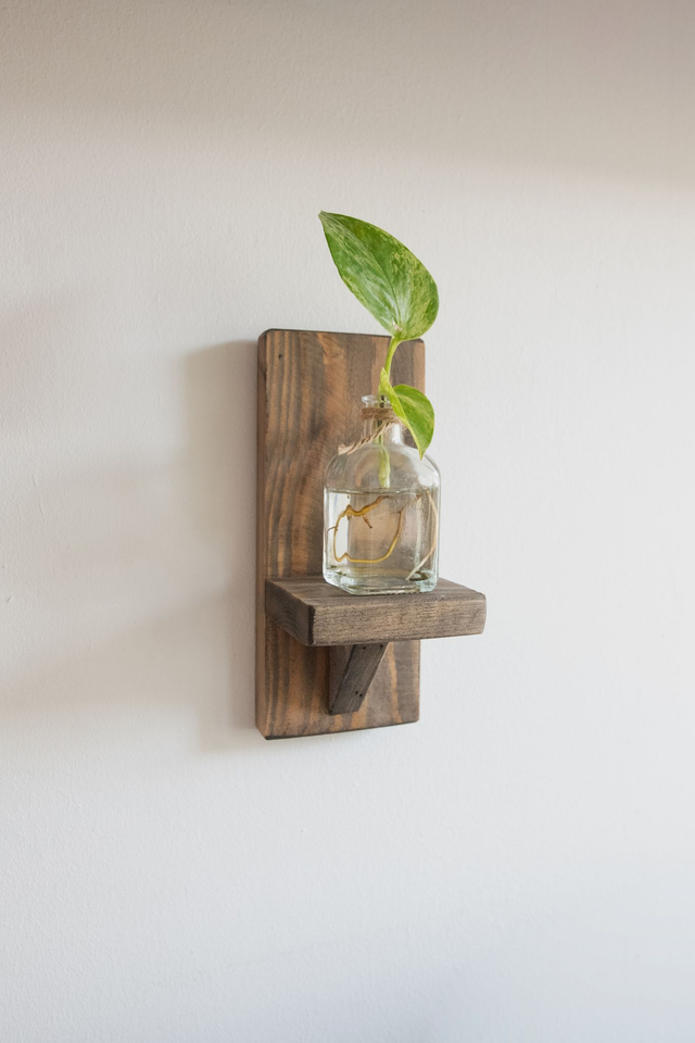 Mini étagère à bouture 🪴