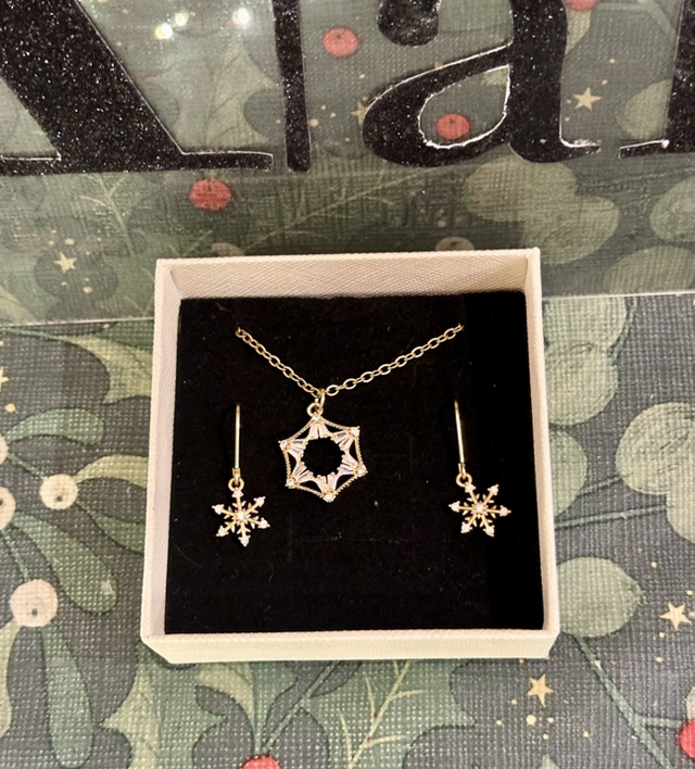 EARRINGS & NECKLACE SET1