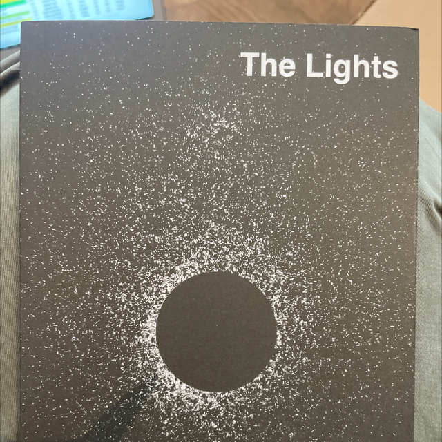 The Lights Ben Lerner