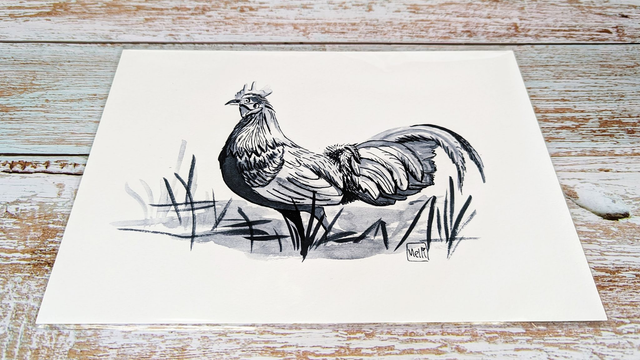 Kunstdruck "Hahn in Tusche"