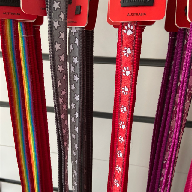 RedDingo Patterned Leash - Medium