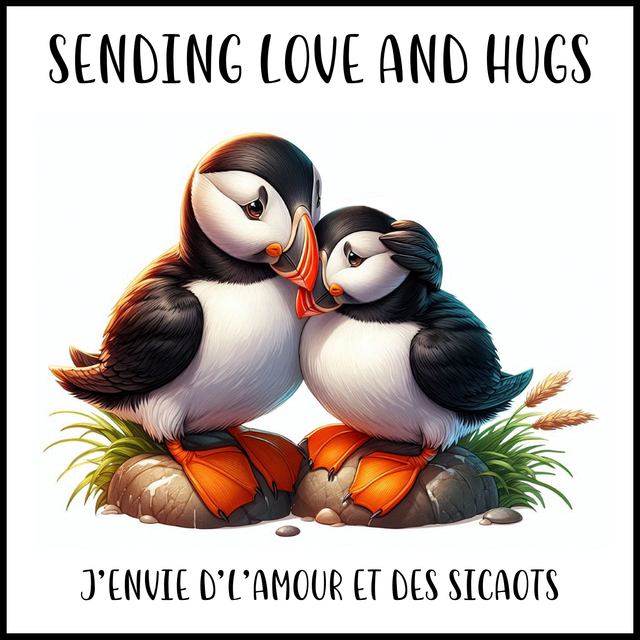 100 CARD - OCCASION LOVE &amp; HUGS PUFFIN