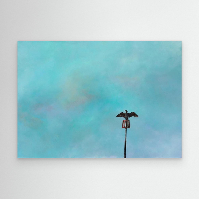 Sentinel - (Cormorant)