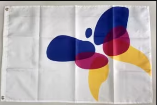 Grote vlag Lingewaard (150x90cm)