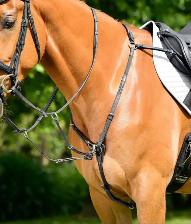 Collegiate Breastplate with Running Attachment