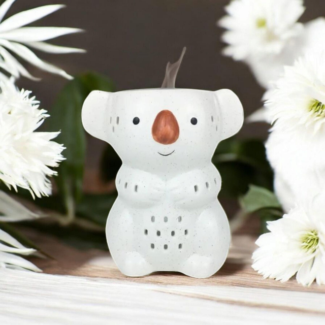 02.02 brûleur koala