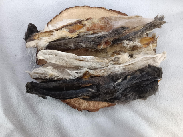 Oreilles de lapin avec poils 100g 