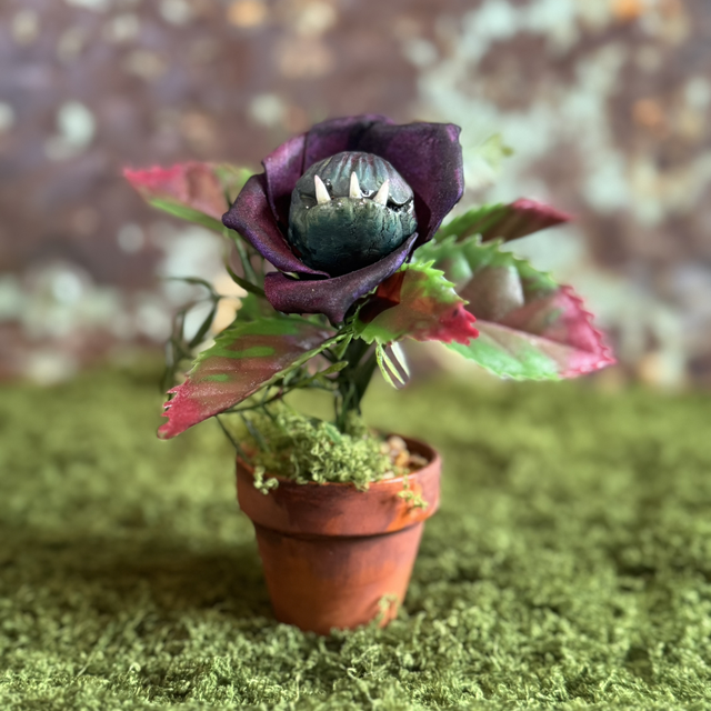 27.🥀 Specimen: The Thornmouth