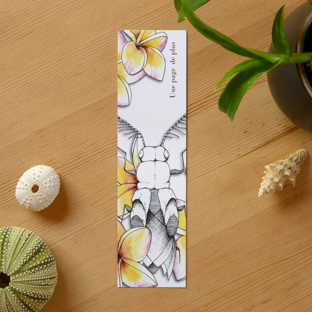 MARQUE PAGE – Frangipanier