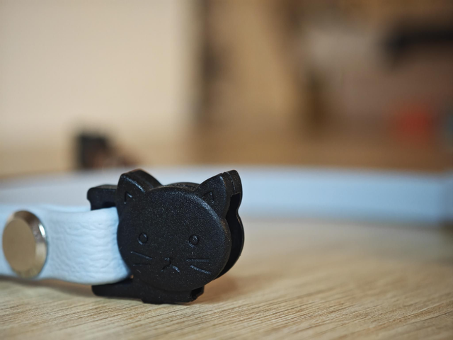 Collier chat en biothane 9mm de largeur (avec l'attache anti étranglement)