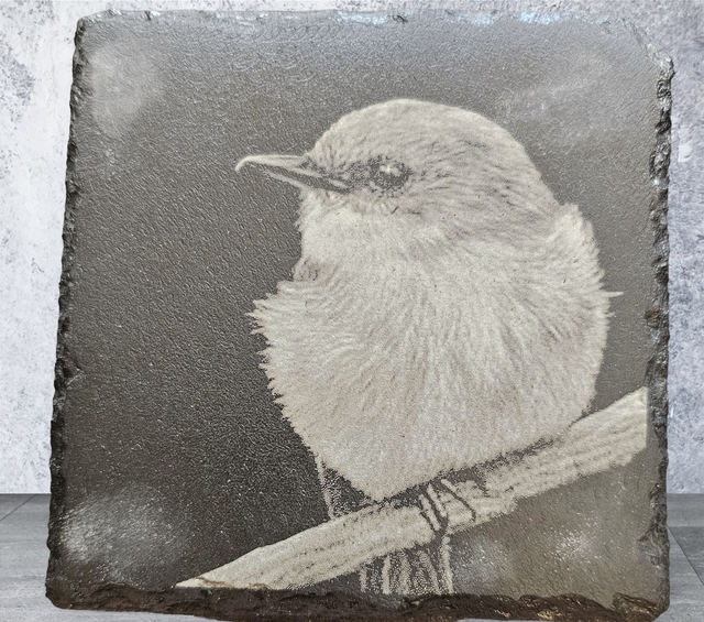 Slate Coaster - Great Tit