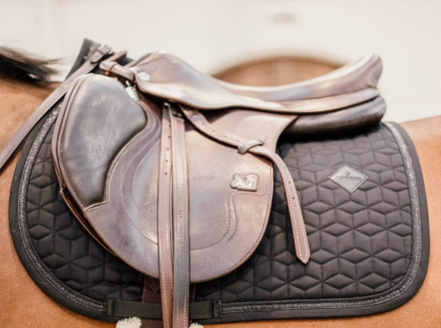 Tapis de selle Glitter Rope jumping