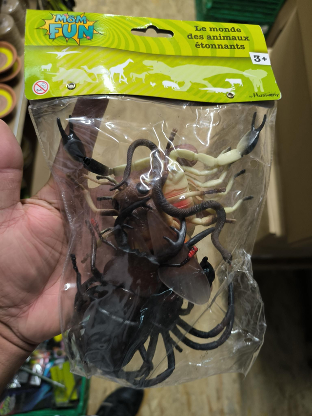 LE MONDE DES ANIMAUX ÉTONNANTS 