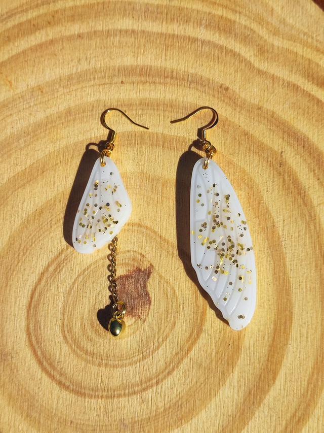 Boucles - Cigale Asymétrique