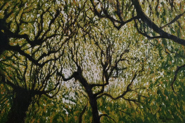 Drzewa z parku w Oliwie, 60x90 olej płótno 2020