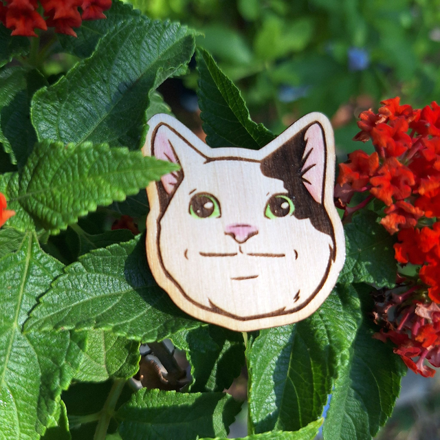 Meme Cat 2 – Pins bois