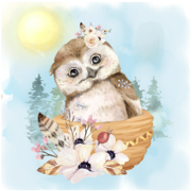 Hand made Cards - Life's a hoot