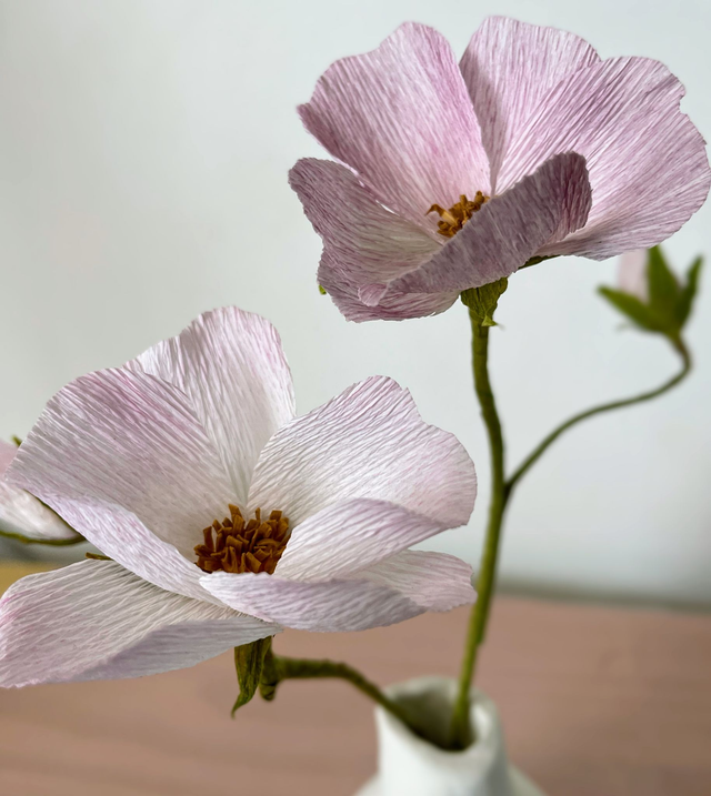 Eglantine "Eléor" avec son vase artisanal offert