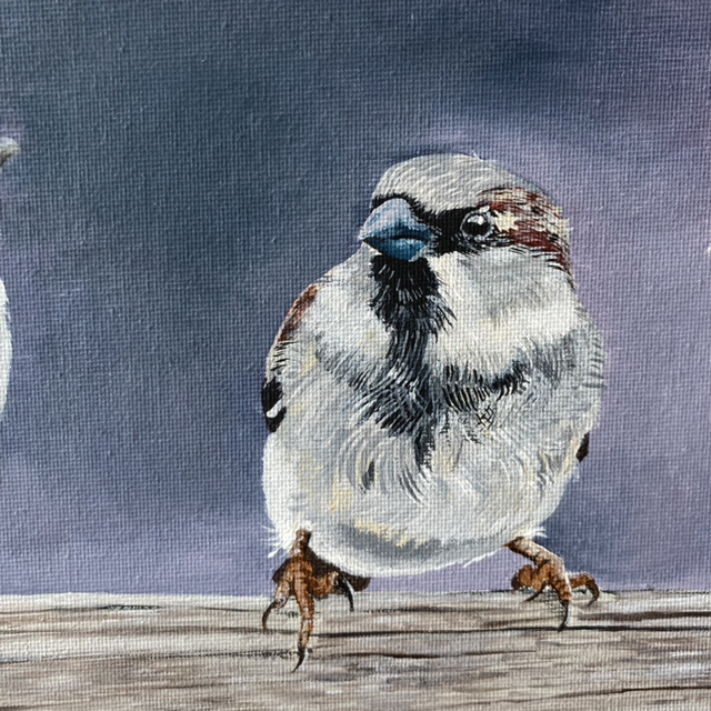 Sparrows Original Acrylic Painting